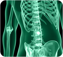 Протрузия и грыжа диска на снимке МРТ: как понять заключение и что делать дальше?